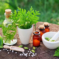 محصولات گیاهی